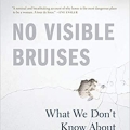 Cover Art: No Visible Bruises by Rachel Louise Snyder - a picture of cracked plaster - not only of an enraged fist but of a damaged, fragmented self (?)